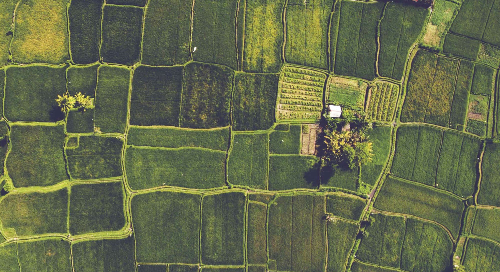 CPM - aerial photo of farmland